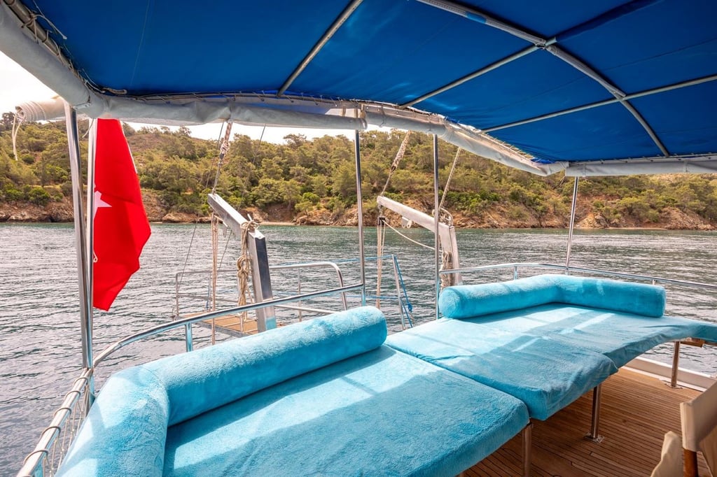 Boat deck with wide seating area covered in blue cushions and a red flag, wooded shoreline in the background.